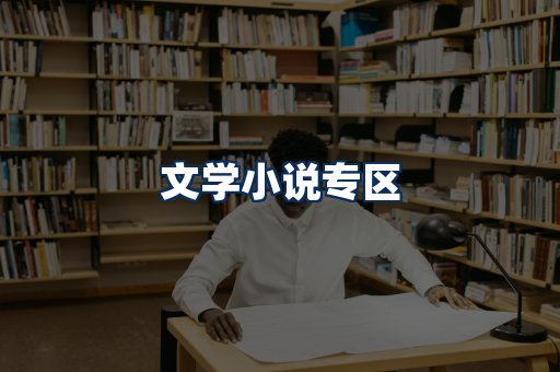 文学小说PDF展示
